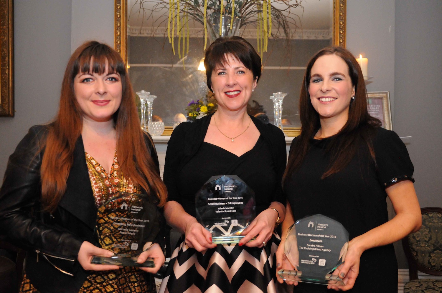 Limerick Business Woman of the Year Awards 2016 Winners Announced photo